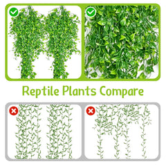 Hamiledyi biomimetic plants with suction cups enable secure, easy installation