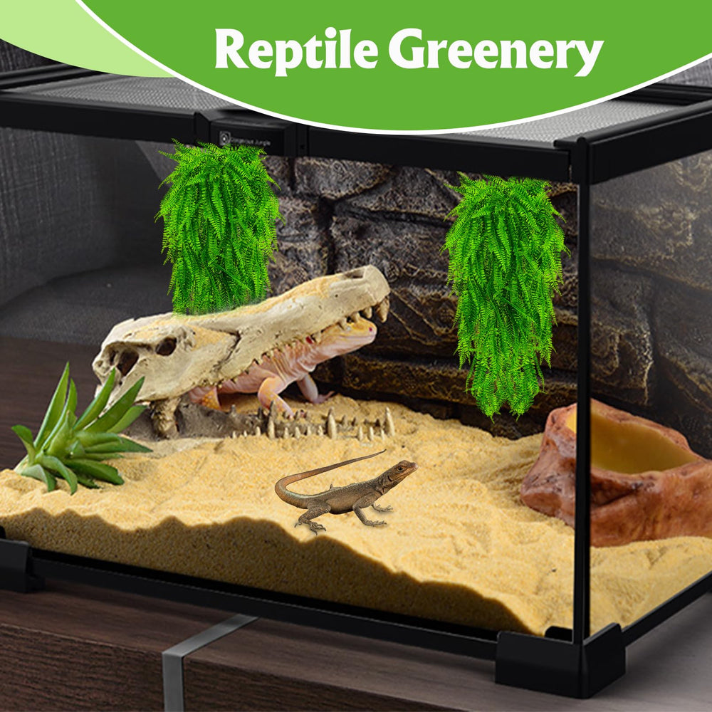 Hamiledyi reptile plants diy habitat decor sparks creative terrarium setups