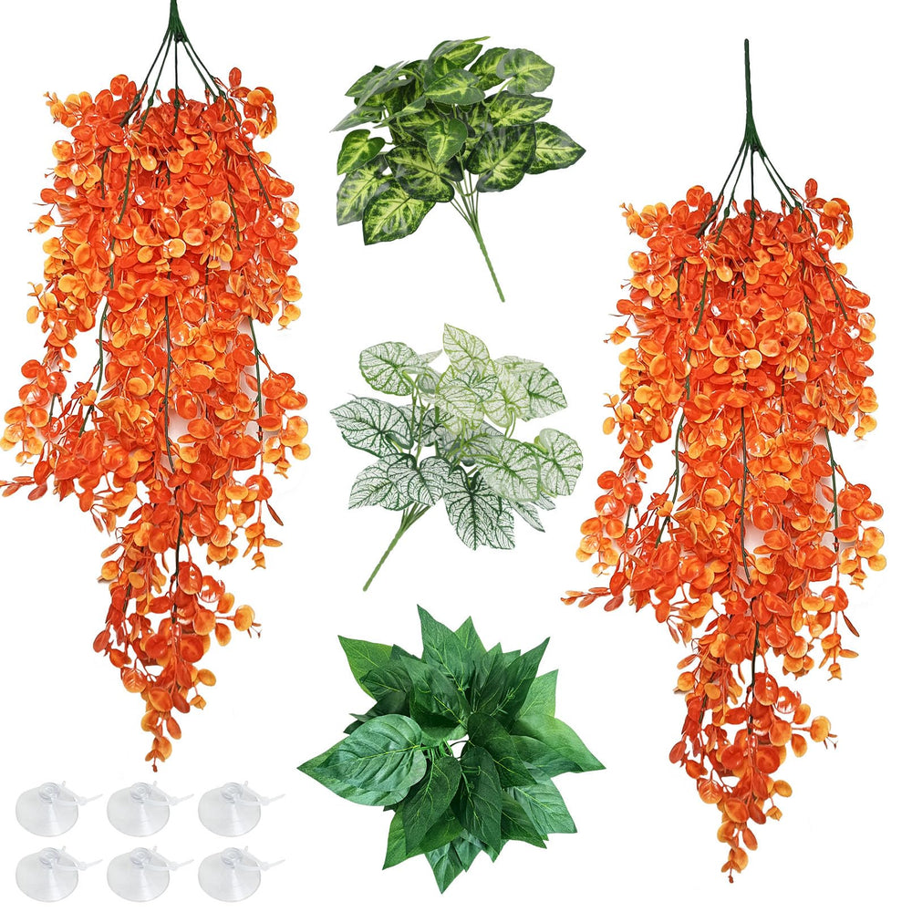 Hamiledyi reptile plants green hanging plant ready for climbing enrichment in terrarium
