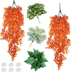 Hamiledyi reptile plants green hanging plant ready for climbing enrichment in terrarium