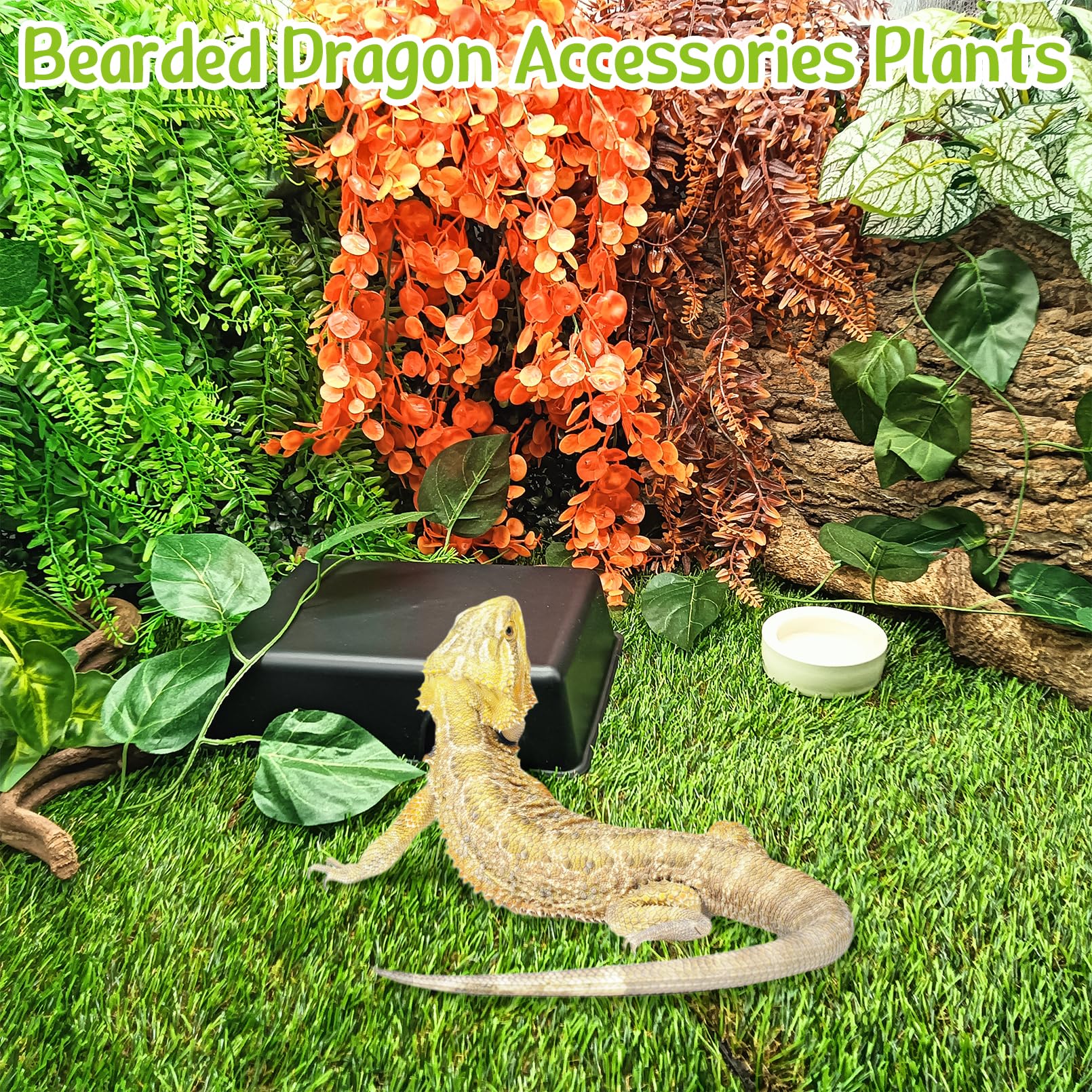 Hamiledyi reptile plants green hanging plant adds color and hiding spots for bearded dragons