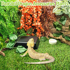 Hamiledyi reptile plants green hanging plant adds color and hiding spots for bearded dragons