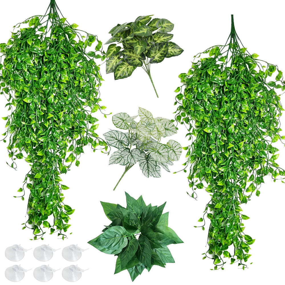 Hamiledyi reptile plants green hanging plants offer durable hiding spots for reptiles