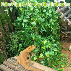 Hamiledyi reptile plants decorative green leaf vine adds realistic tank greenery