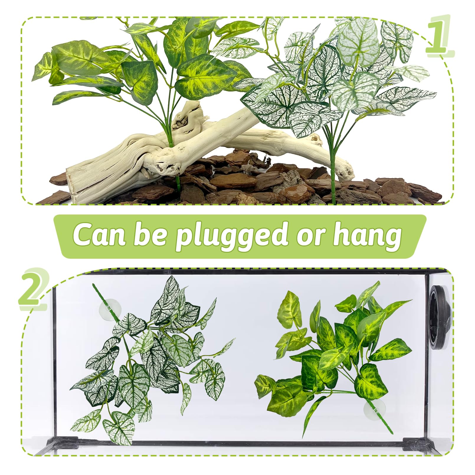 Hamiledyi reptile plants setup showing hanging leaves style3 in tank