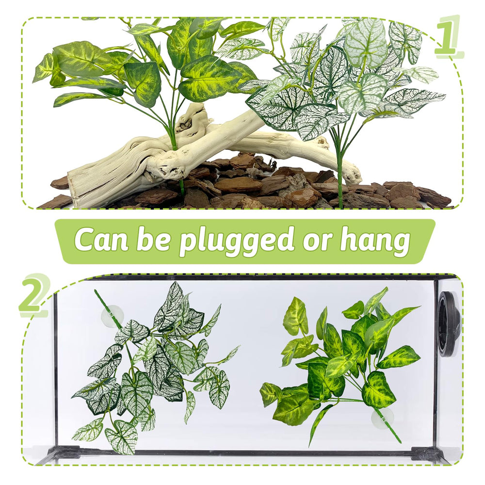 Hamiledyi reptile plants setup showing hanging leaves style3 in tank