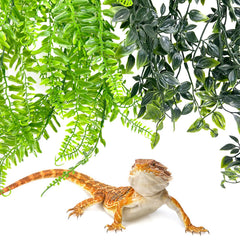 Hamiledyi small vine leaf 11-inch adds perching spots and color to habitats.
