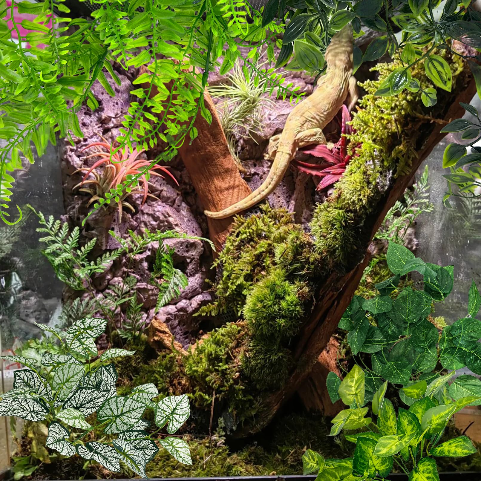 Hamiledyi reptile plants background decor enhances habitat aesthetics and exploration space.