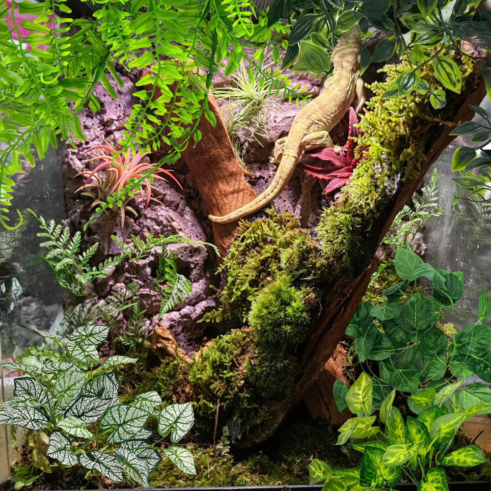 Hamiledyi reptile plants background decor enhances habitat aesthetics and exploration space.