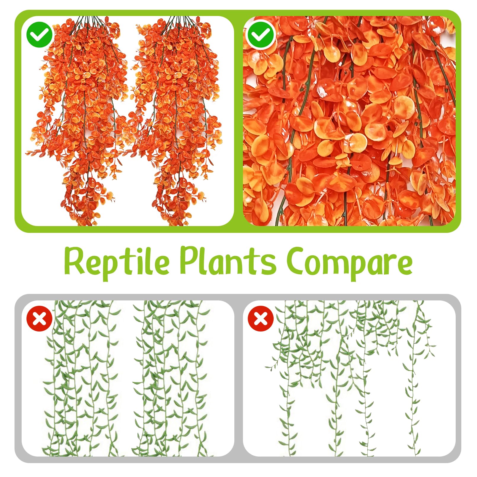 Hamiledyi reptile plants terrarium decor setup showcases vibrant color and easy maintenance