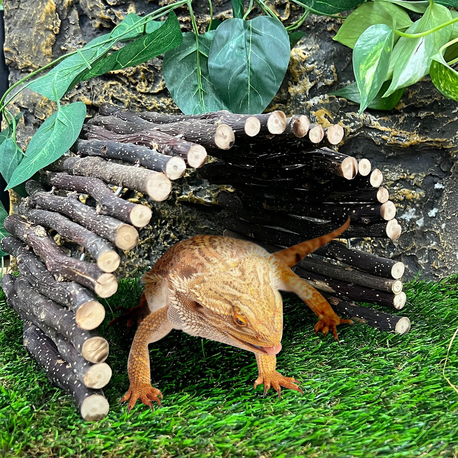 Hamiledyi reptile tunnel bridge encourages exploration and physical activity