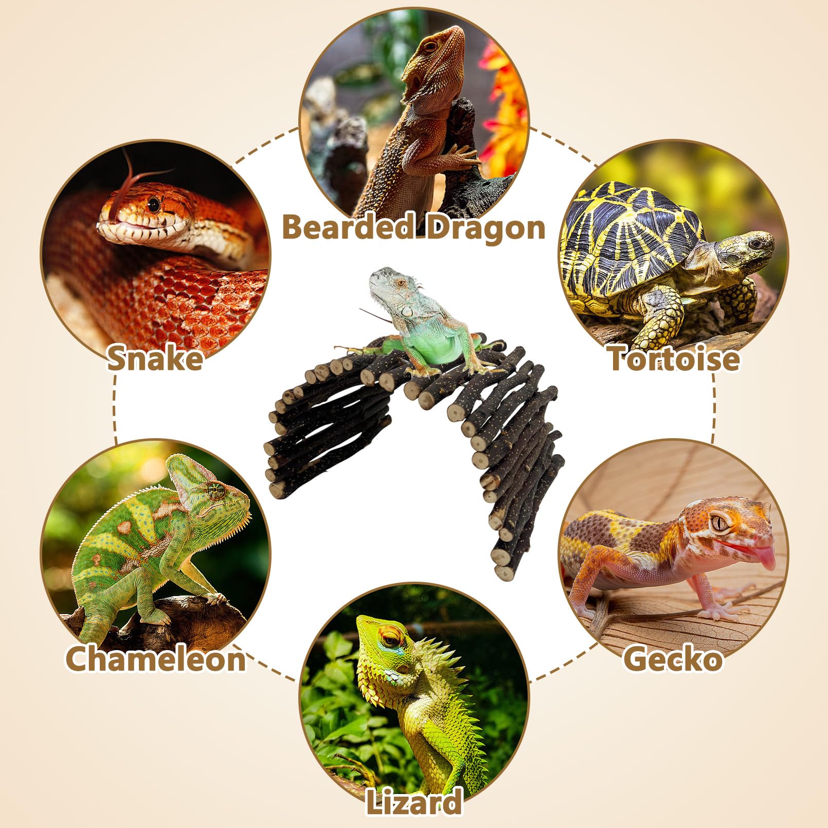 Hamiledyi safe natural wood material for durable reptile housing
