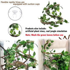 Hamiledyi suction cups help secure decorations for stable tank setups.