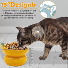 Hamiledyi whisker friendly bowl minimizes whisker fatigue during meals