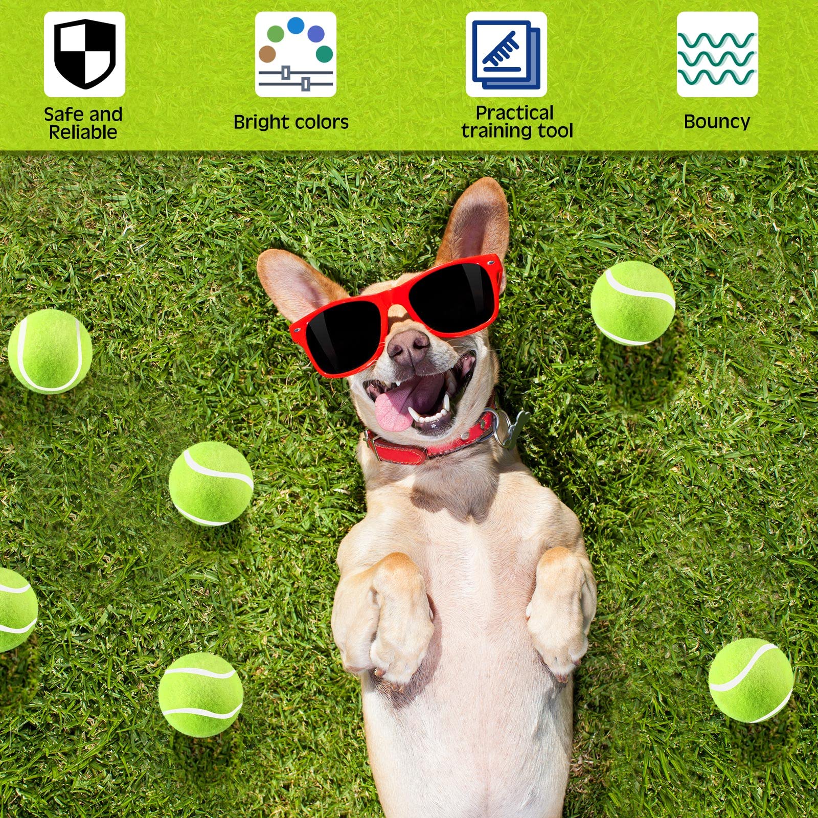 Hanaive fetch-training ball suitable for indoor and outdoor exercise.