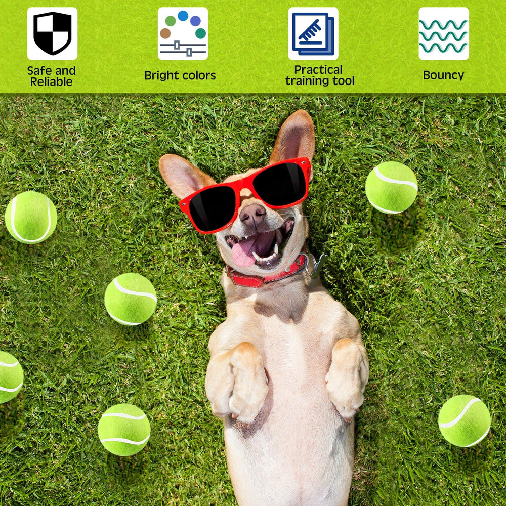 Hanaive fetch-training ball suitable for indoor and outdoor exercise.