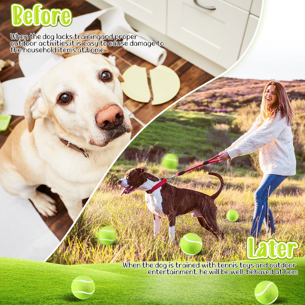 Hanaive durable dog toy with felt designed to be gentle on teeth.