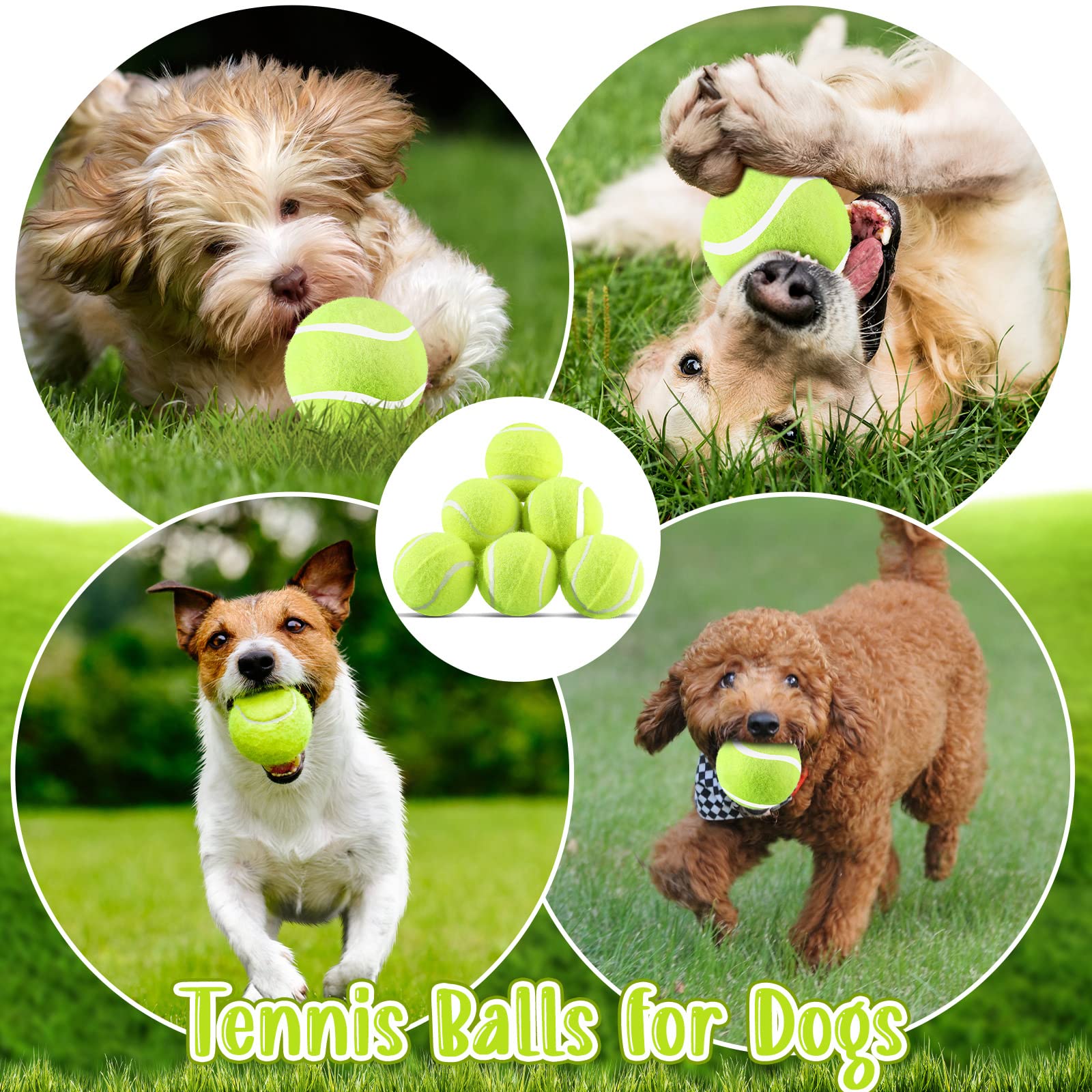 Hanaive small-dog training ball ideal for practice sessions.