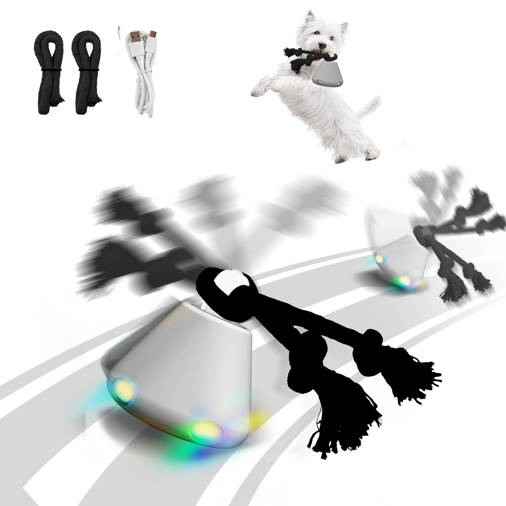 Hanarook interactive dog ball action showcases self-rolling chase for engaging play.