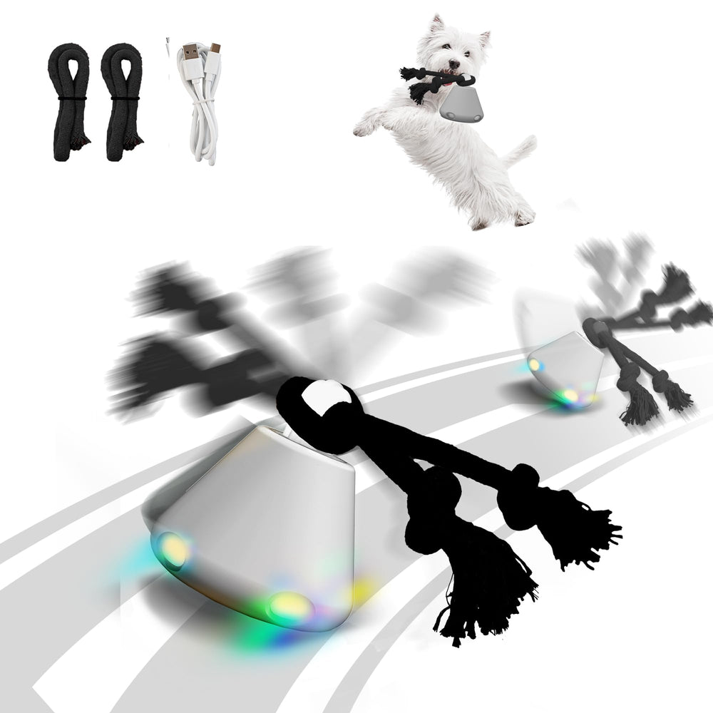 Hanarook interactive dog ball action showcases self-rolling chase for engaging play.