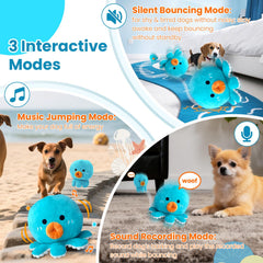 Hanarook interactive toy ball action shows rolling and bouncing for active dogs