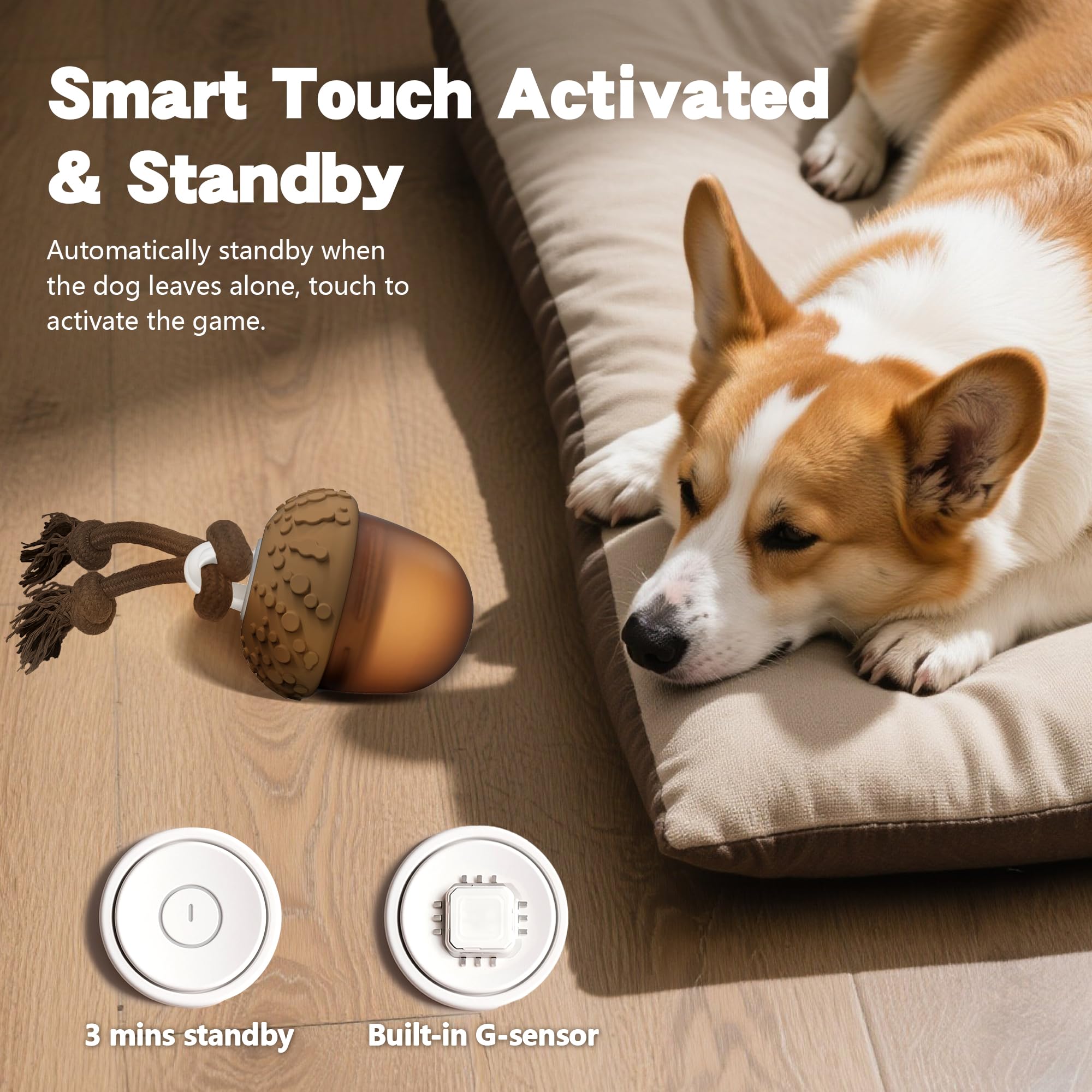 Hanarook motion-sensor ball in action boosts interactive play