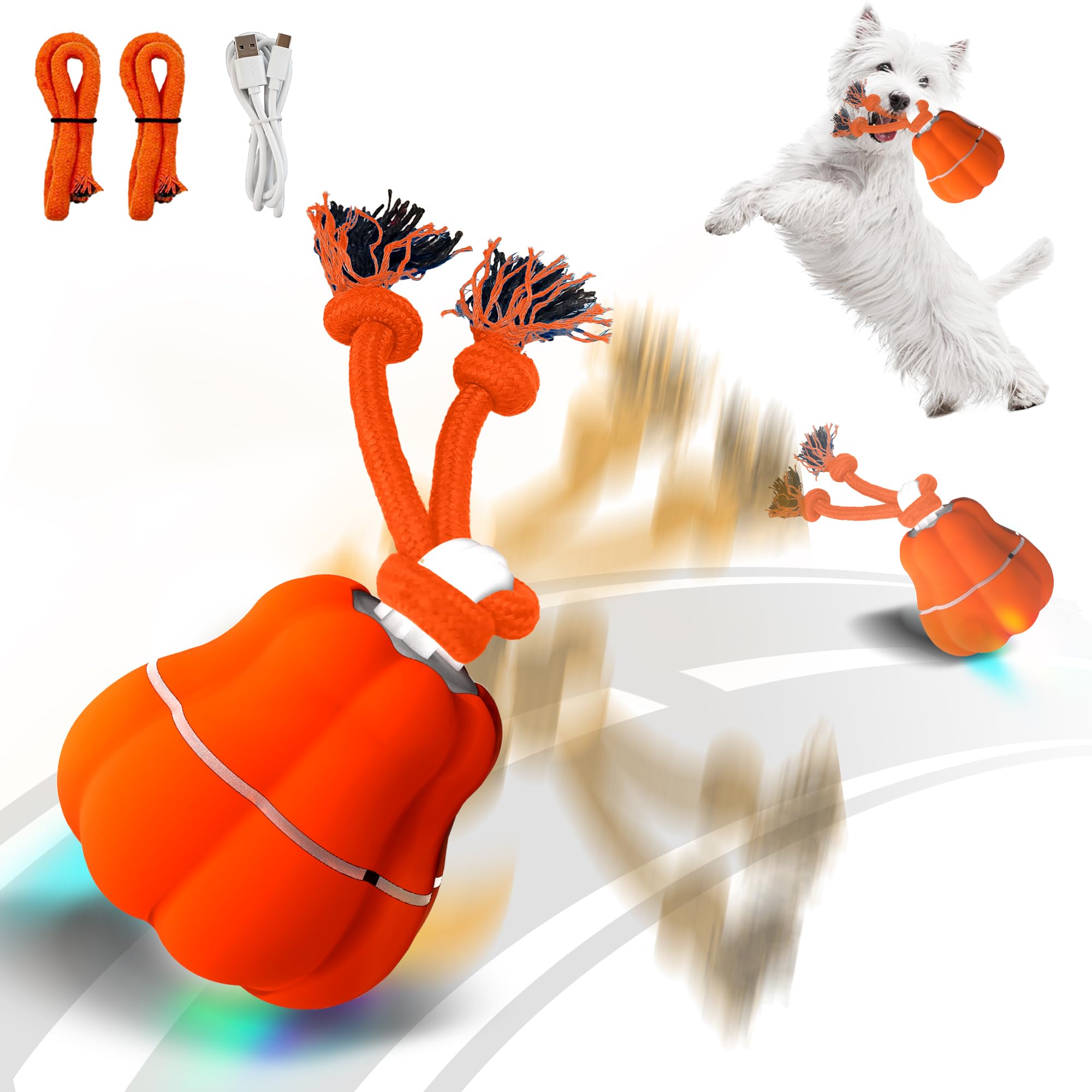 Hanarook Pumpkin interactive ball front view for indoor playtime and curiosity