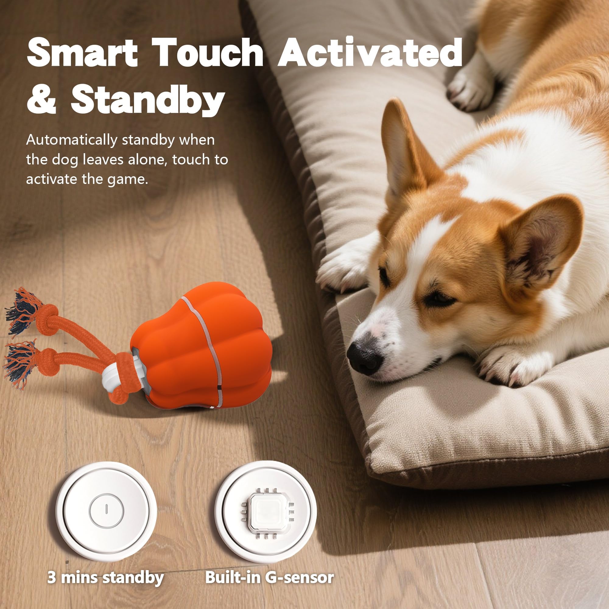 Hanarook Pumpkin interactive ball LED light close-up for visible nighttime play
