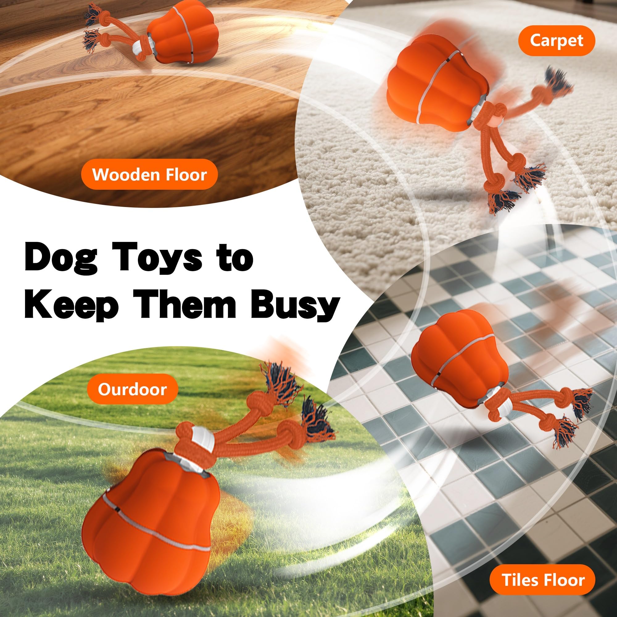 Hanarook Pumpkin interactive ball packaging highlights gift-ready presentation