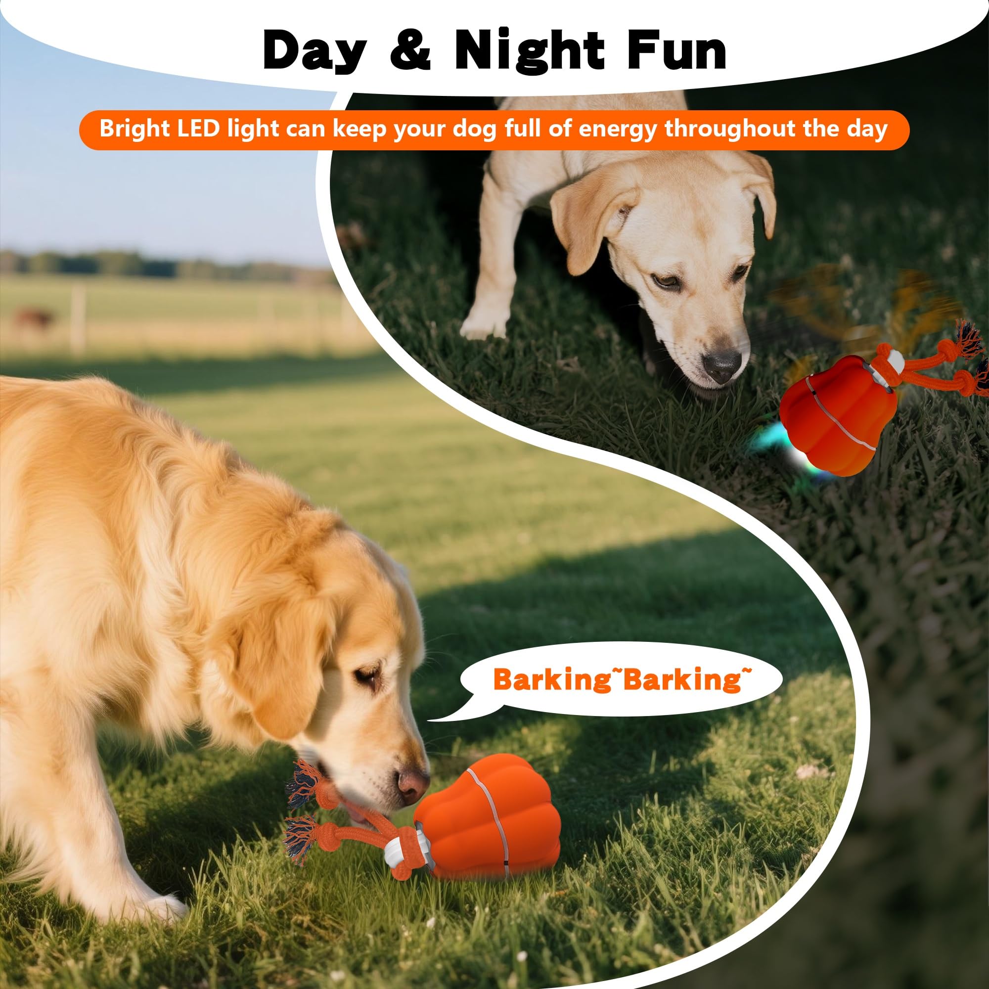 Hanarook Pumpkin interactive ball rope attachment attracts playful chasing and tugging