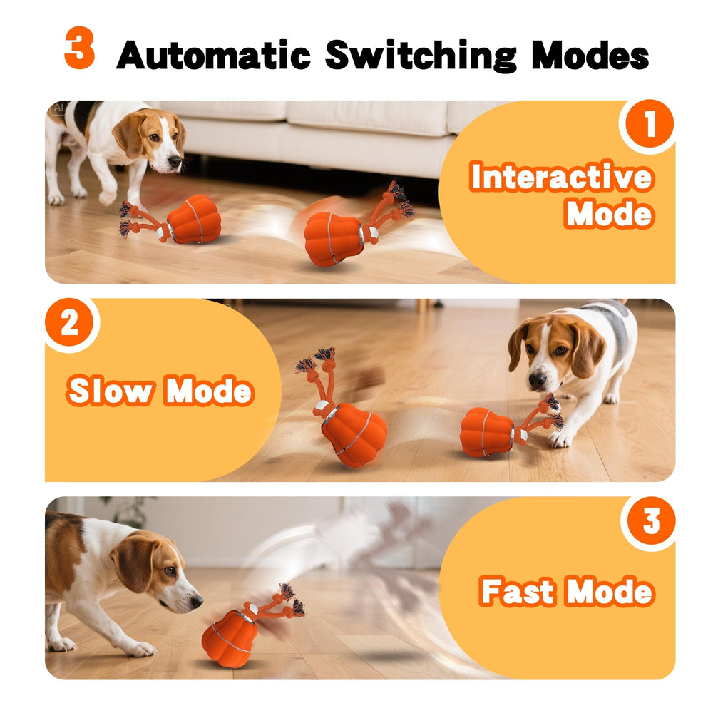 Hanarook Pumpkin interactive ball side view showcases chasing and physical engagement