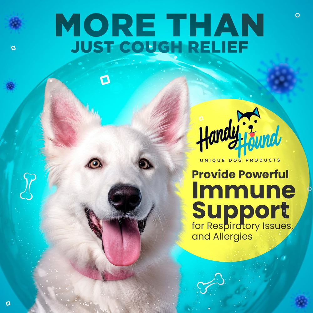 Handy Hound USA-made pet supplement bottle uses natural ingredients.