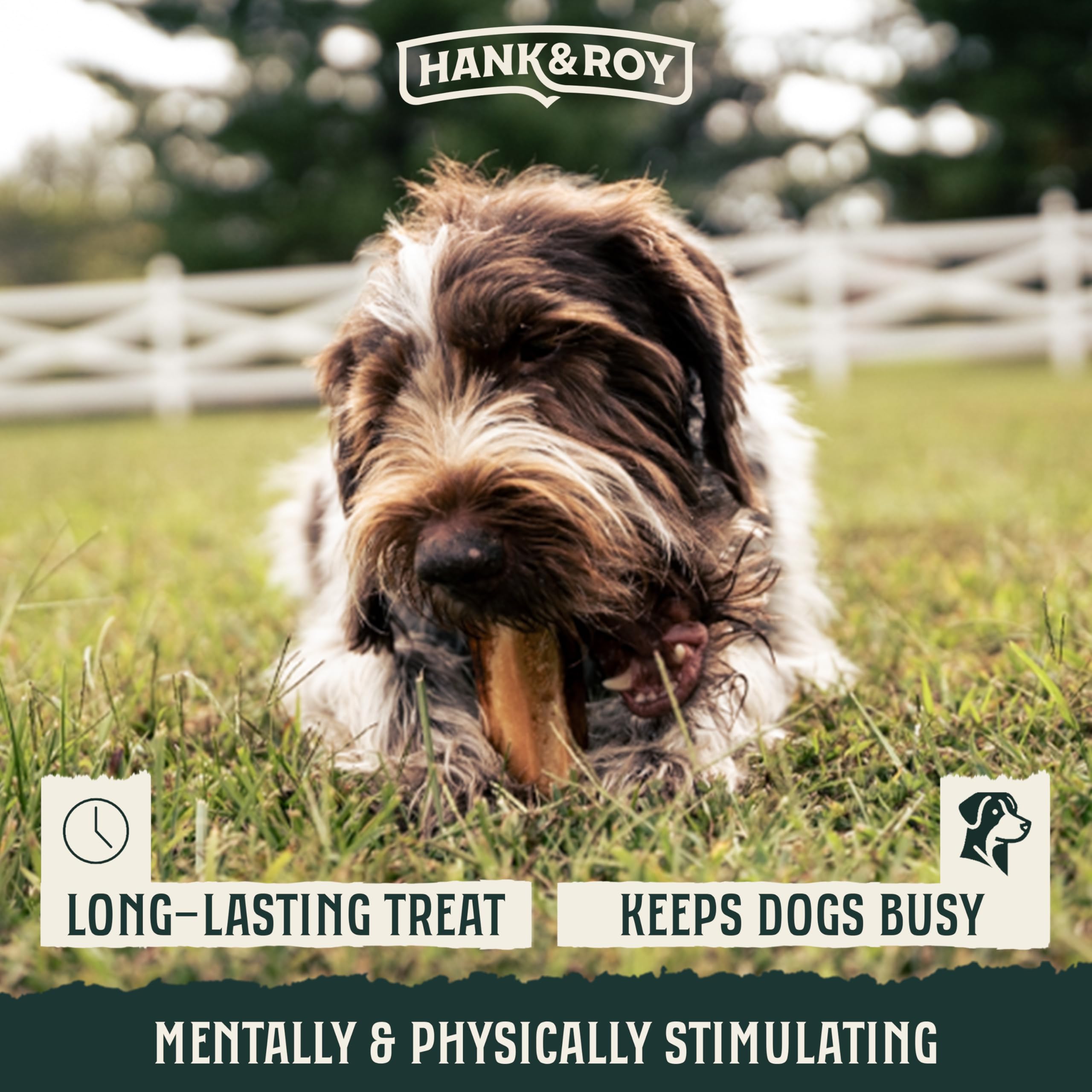 Hank & Roy marrow bone shown with resealable bag and freshness.