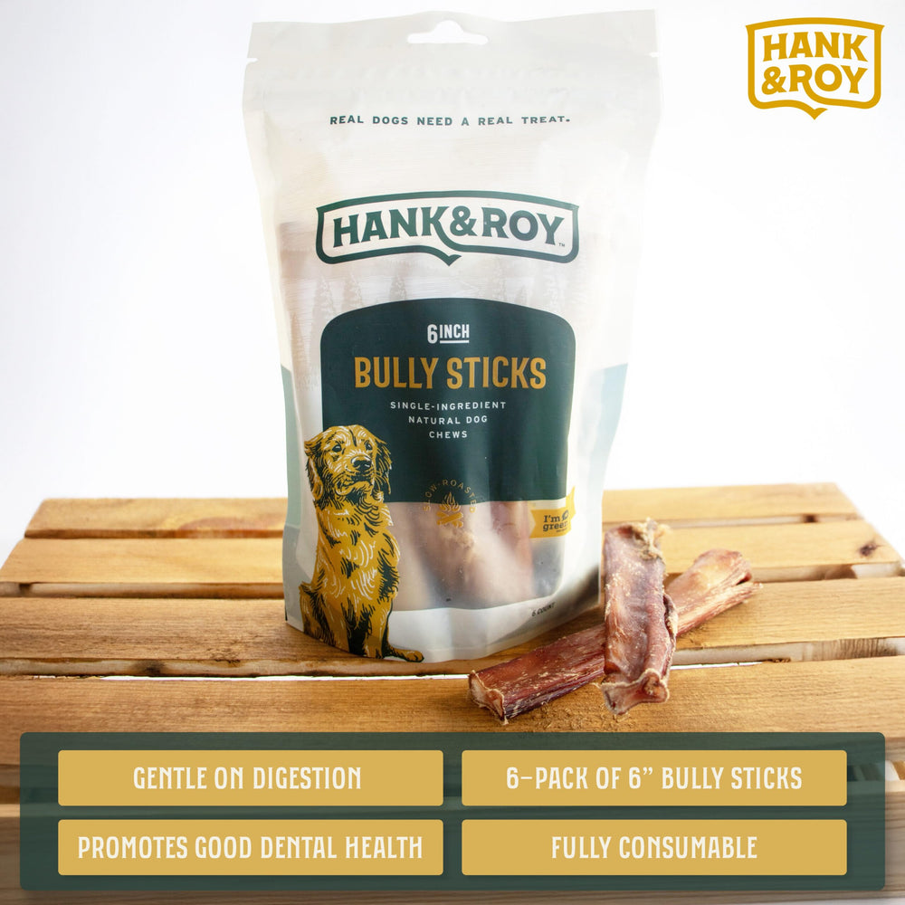 Hank and Roy dog chewing bully stick — low-odor entertainment