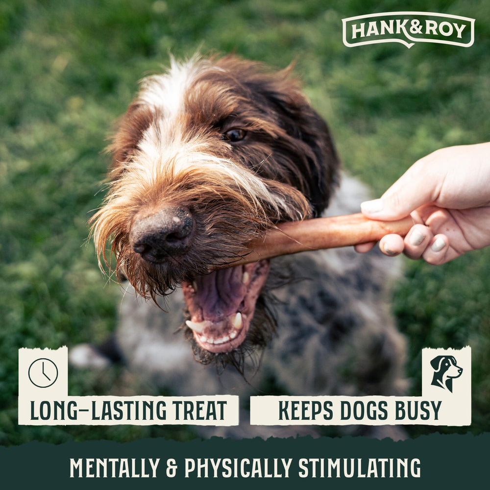 Hank and Roy low-odor bully sticks — bake-process for durability
