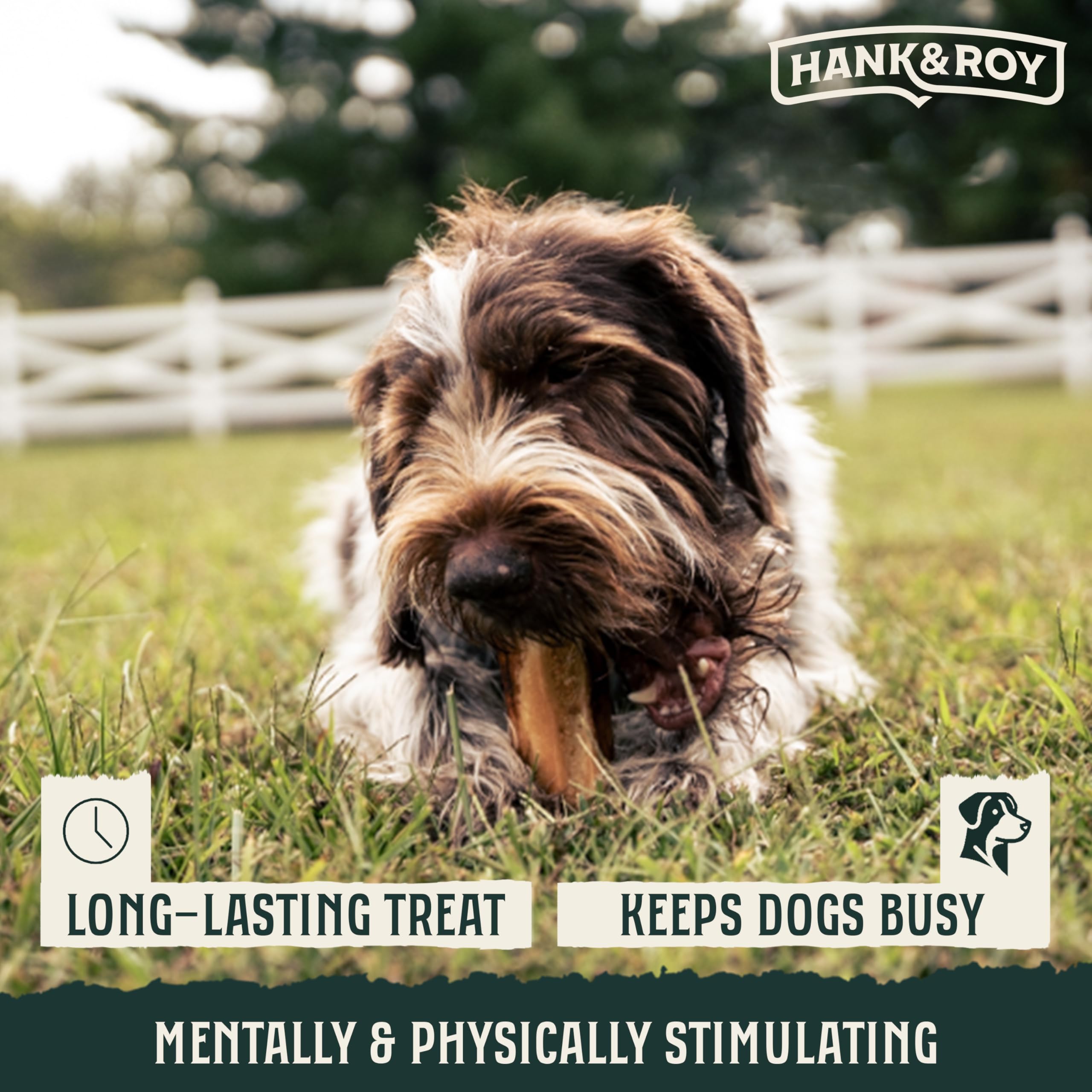 Hank & Roy dental-health-support chew promotes natural cleaning action for gums