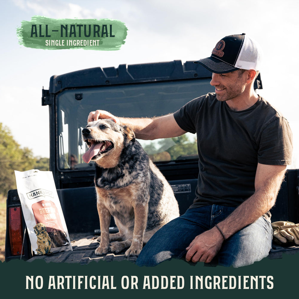 Hank & Roy dog-chew-engagement image shows a durable, mentally stimulating chew session