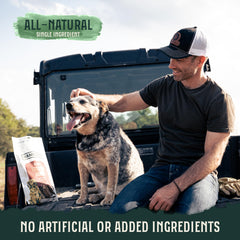Hank & Roy dog-chew-engagement image shows a durable, mentally stimulating chew session