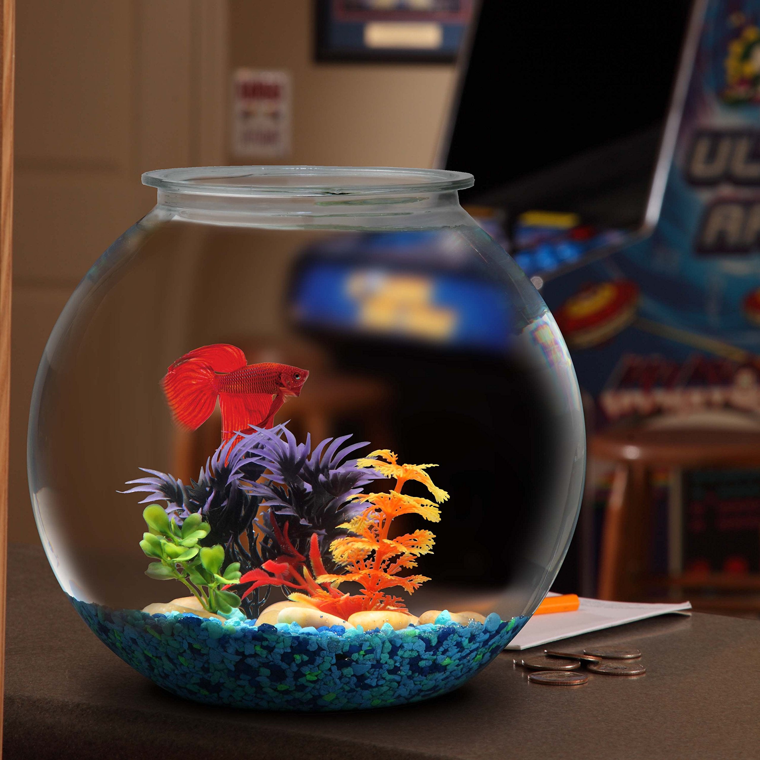 Hank & Harley Aquatic Wonder desk decor bowl for flowers or mini water displays.