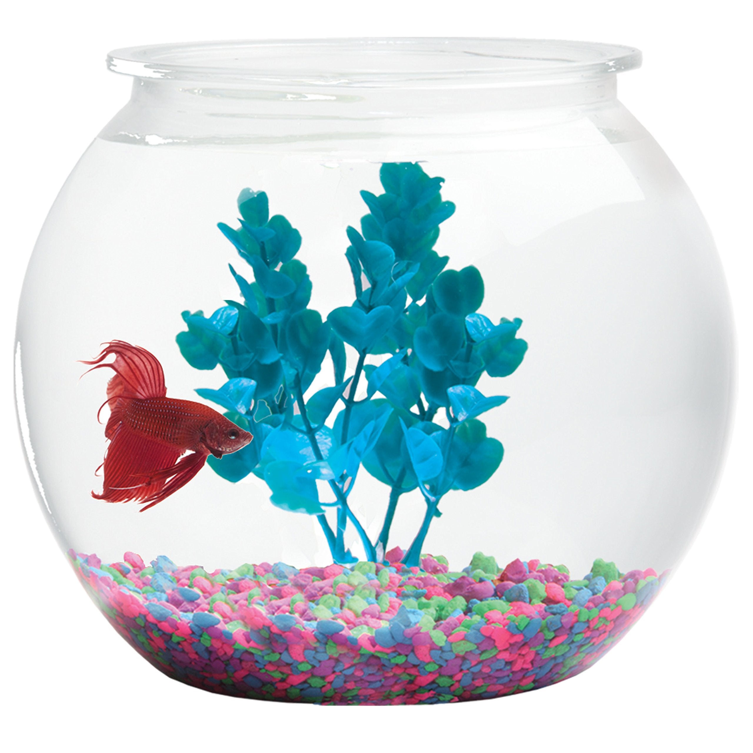 Hank & Harley Aquatic Wonder one-gallon bowl in clear plastic, ideal for Betta habitats and decor.