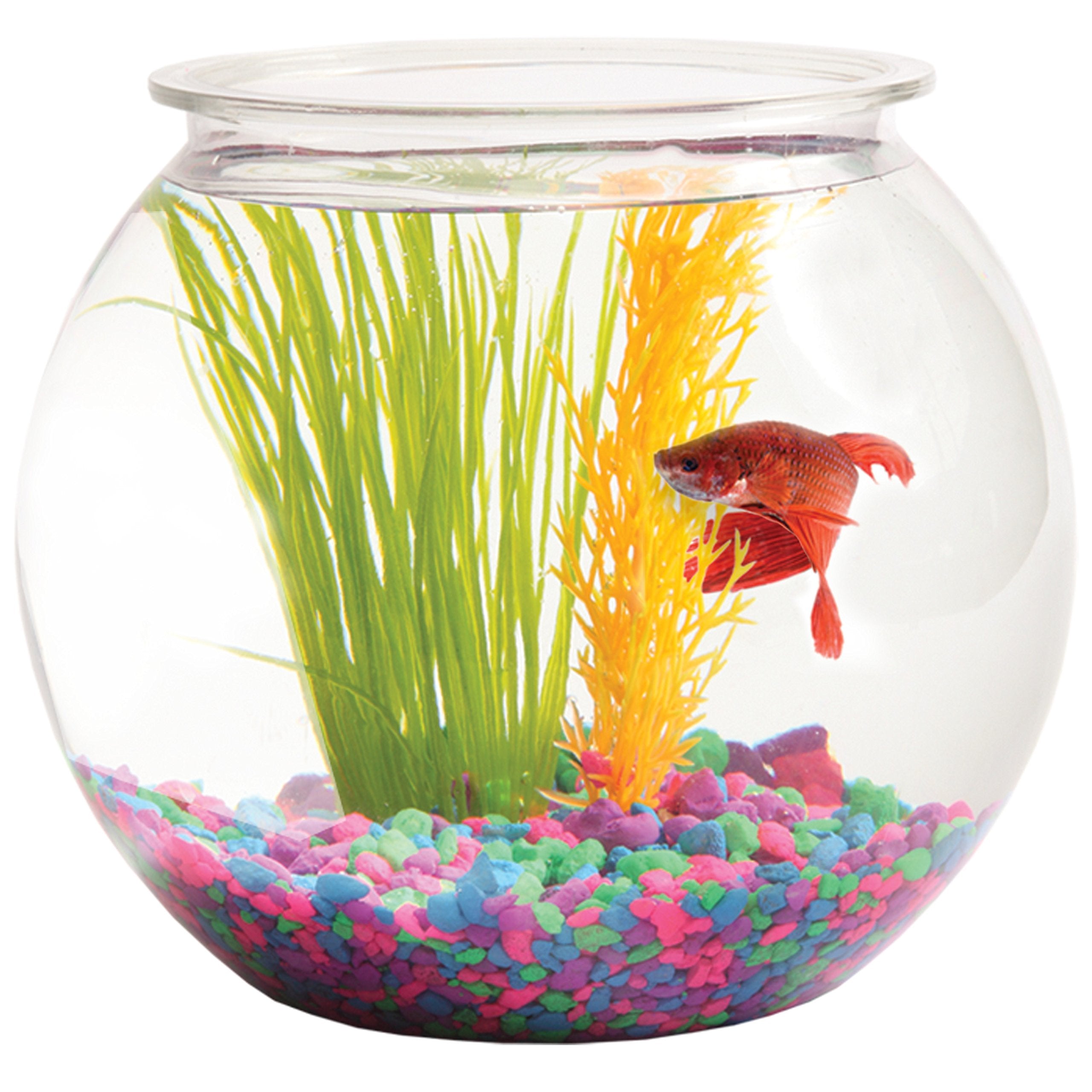 Hank & Harley Aquatic Wonder party drinks display bowl for creative, portable centerpieces.