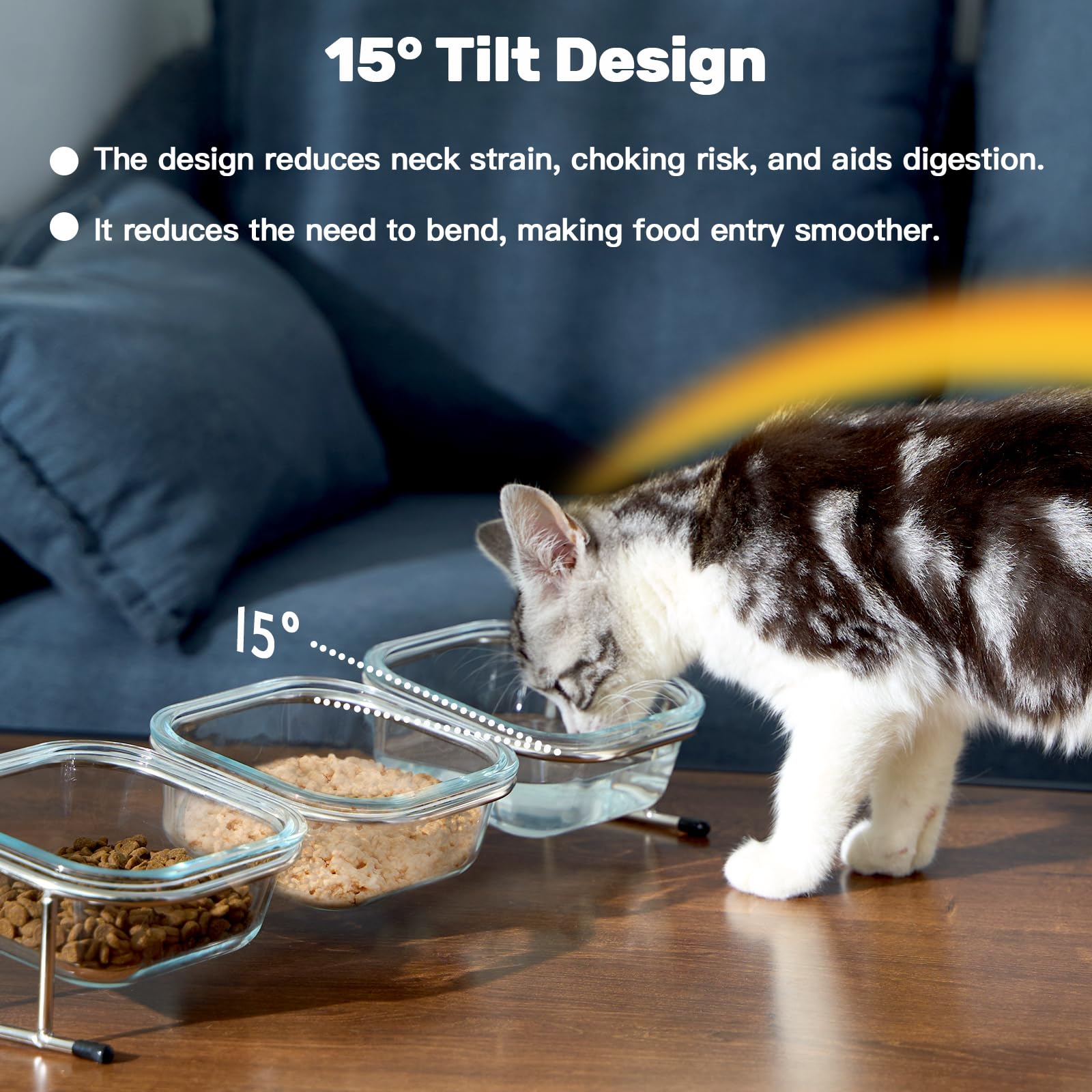 Hannadepot glass cat bowls 3-pack for organized portions and easy cleaning.