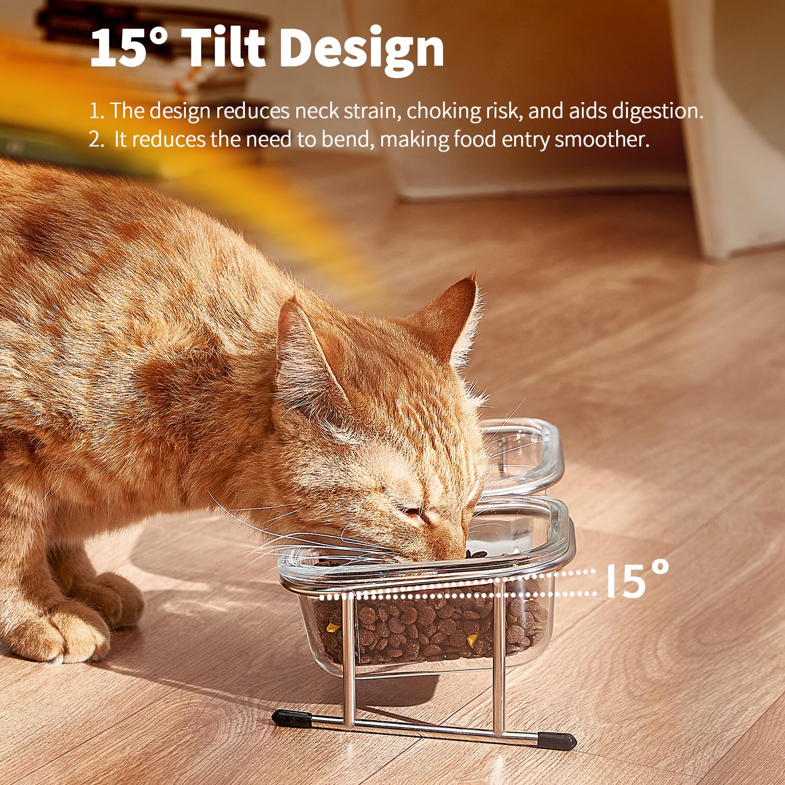 Hannadepot glass cat bowls two bowls for food and water.