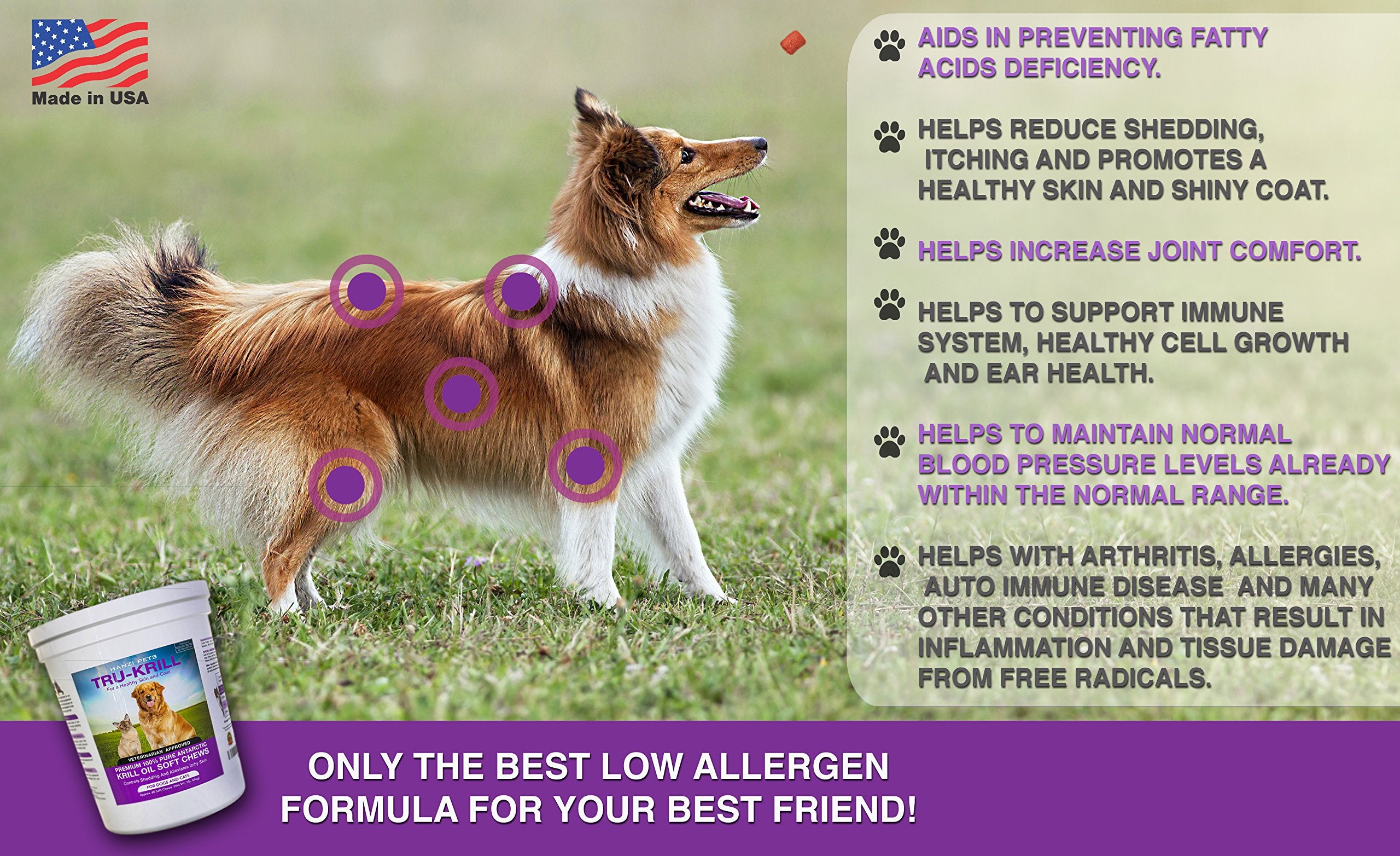 Hanzi Pets Soft chews with astaxanthin—natural antioxidant support for skin and eyes.