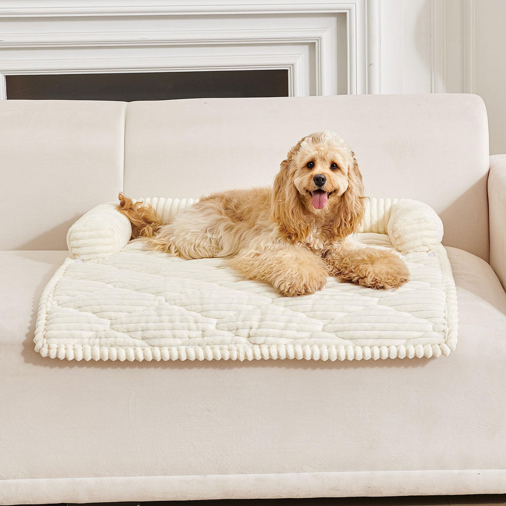HAOMAIJIA dog couch bed in off-white XL with soft velvet cover for cozy large-dog comfort.