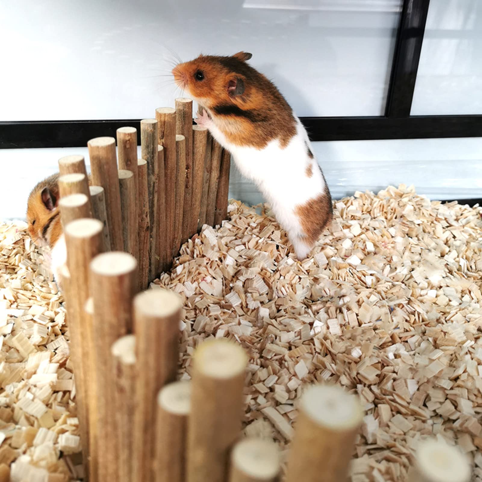 Haosie nature-inspired hamster playground enriches environment with practical décor.