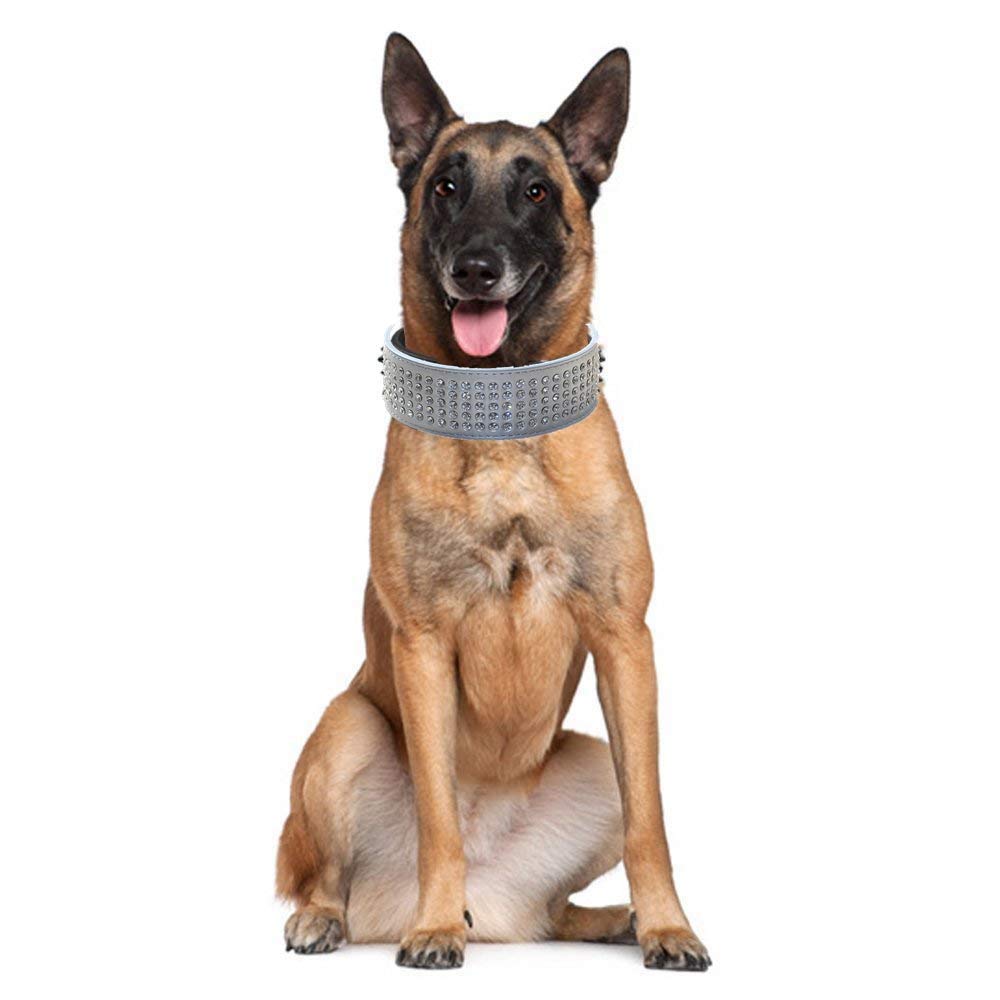 Haoyueer dog collar close-up shows soft leather for comfortable daily wear.