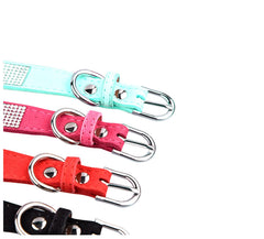 haoyueer Dog leash 120cm length offers flexible control for daily strolls.