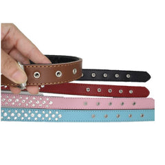 haoyueer dog walking with collar pink demonstrates stylish everyday use