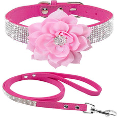 Haoyueer hot pink7 collar with rhinestones for dazzling daily strolls.